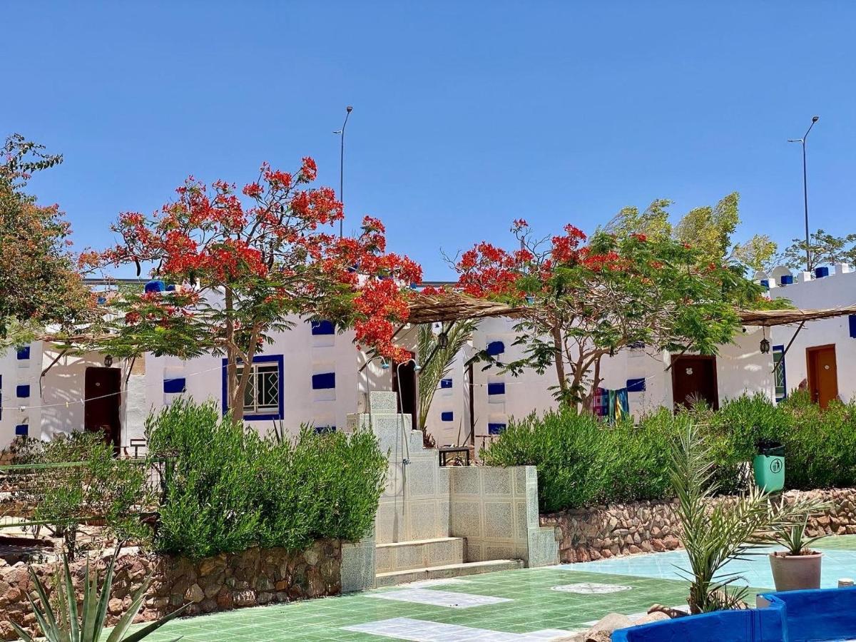 بيت شباب قرية بدوين مون - العقبة Al Burj المظهر الخارجي الصورة