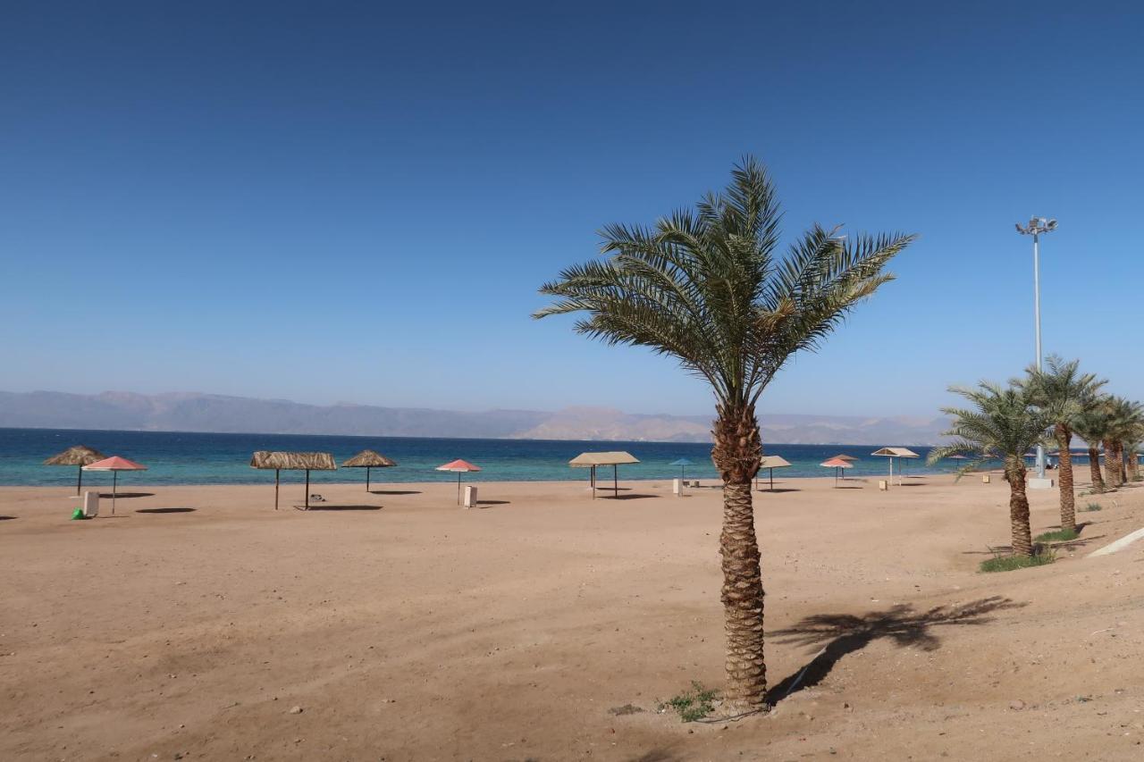 بيت شباب قرية بدوين مون - العقبة Al Burj المظهر الخارجي الصورة